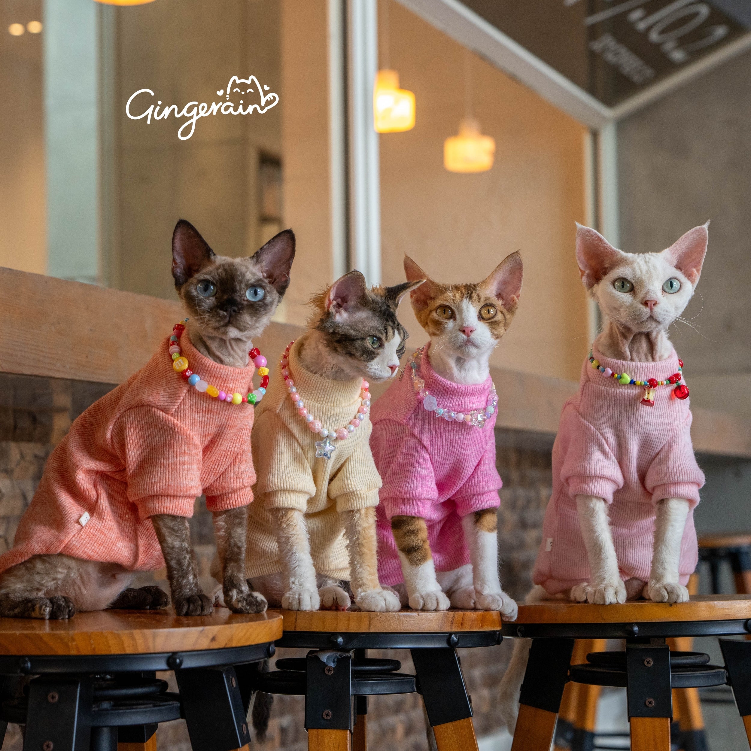 🐱Apparel & Accessories
