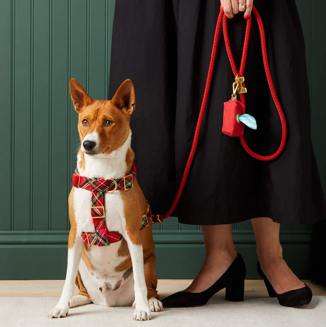 🐶Travel & Outdoor