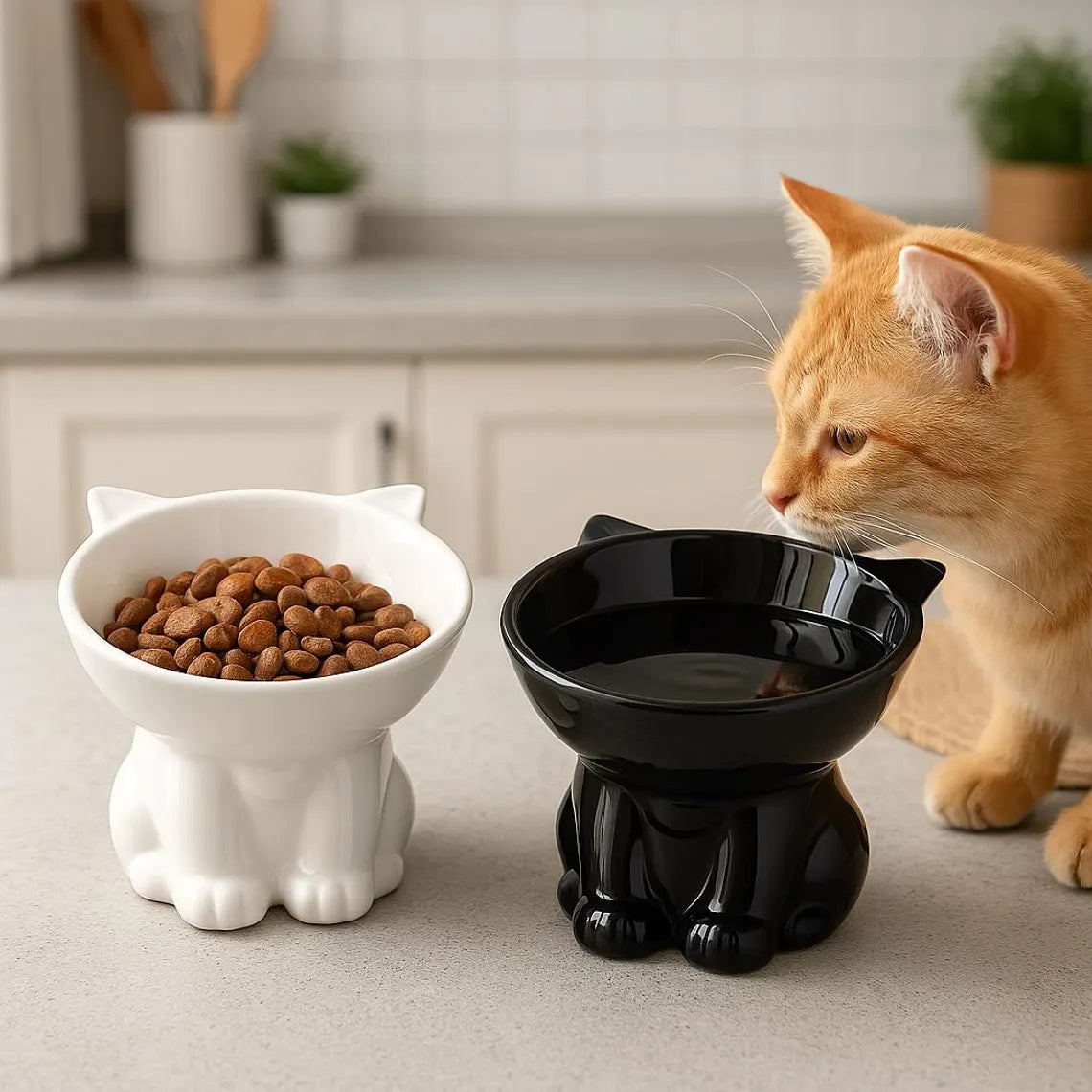 🐱Feeding Essentials