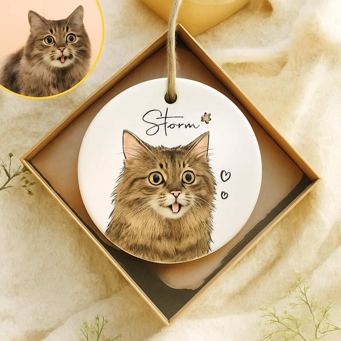 🐱Gifts & Memories