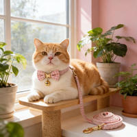 Personalized Engraved Cat ID