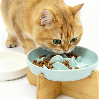 compare product Ceramic Slow Food Plate