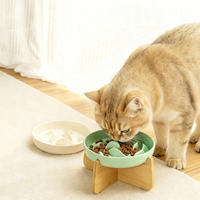 Ceramic Slow Food Plate
