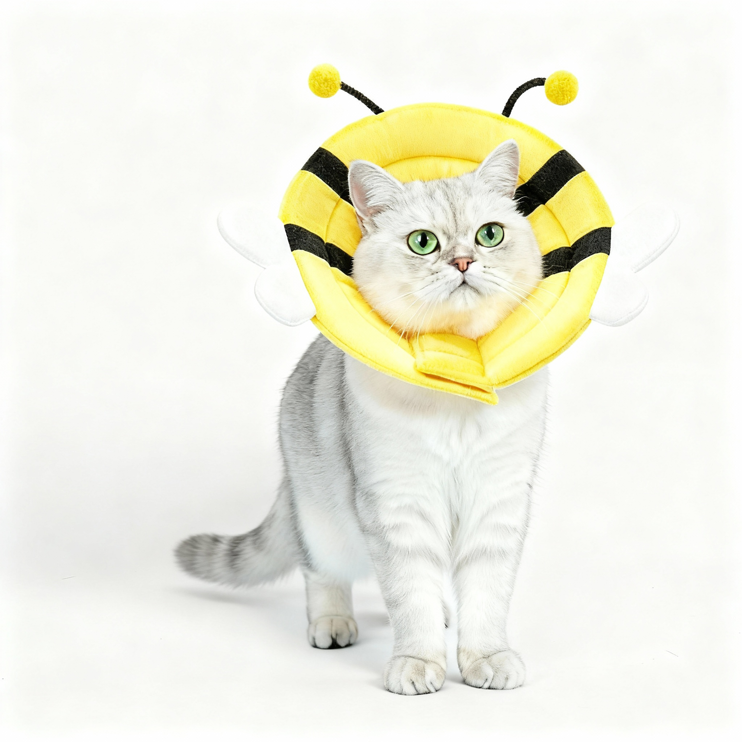 Pet Protective Collar