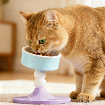 compare product Adjustable Food Bowl