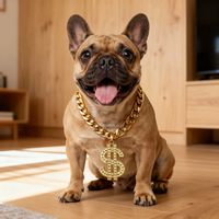 Dollar Pendant Pet Necklace