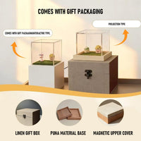 Custom Pet Memorial Hologram House