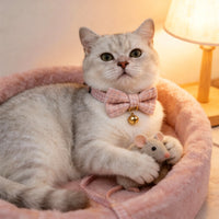 Personalized Engraved Cat ID