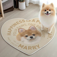 Custom Irregular Pet Rugs