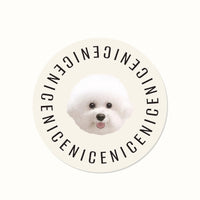 Custom Pet Rugs Personalized Gifts - Cute style