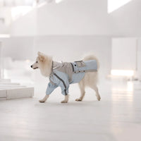 All-Weather Reflective Dog Raincoat – Waterproof Harness