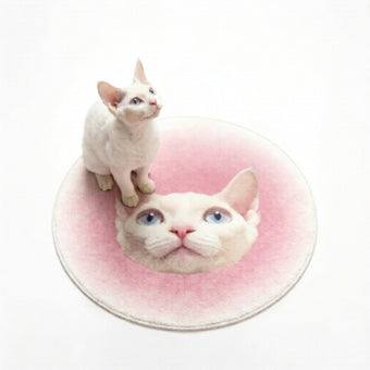 compare product Custom Irregular Pet Rugs