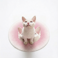 Custom Irregular Pet Rugs