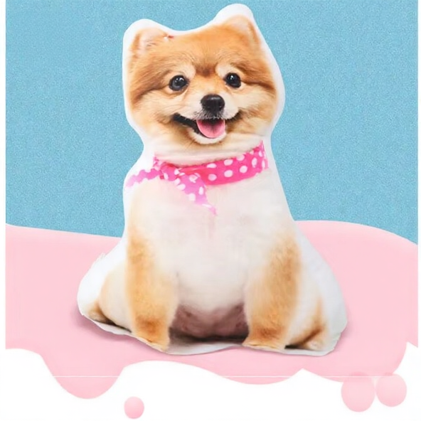 Personalized 3D Pet Pillow