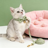 Personalized Engraved Cat ID