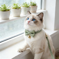 Personalized Engraved Cat ID