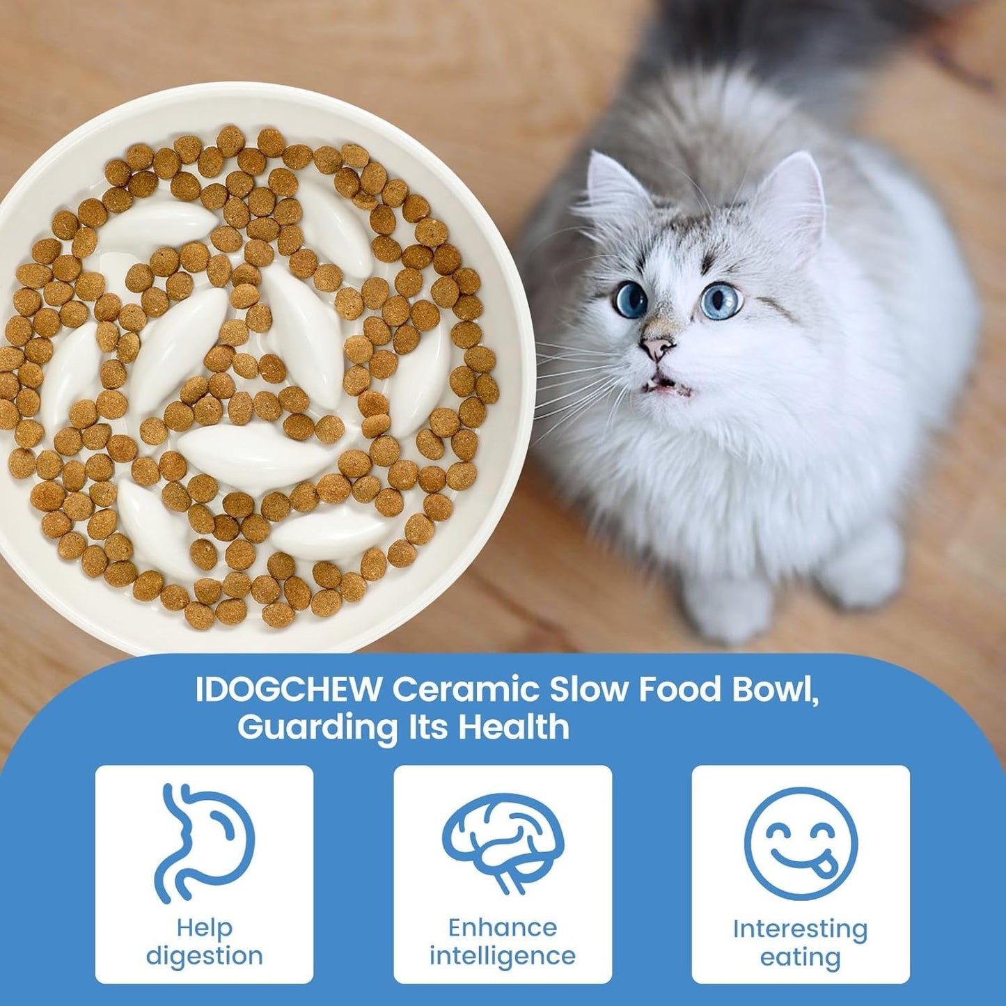 Ceramic Slow Food Plate