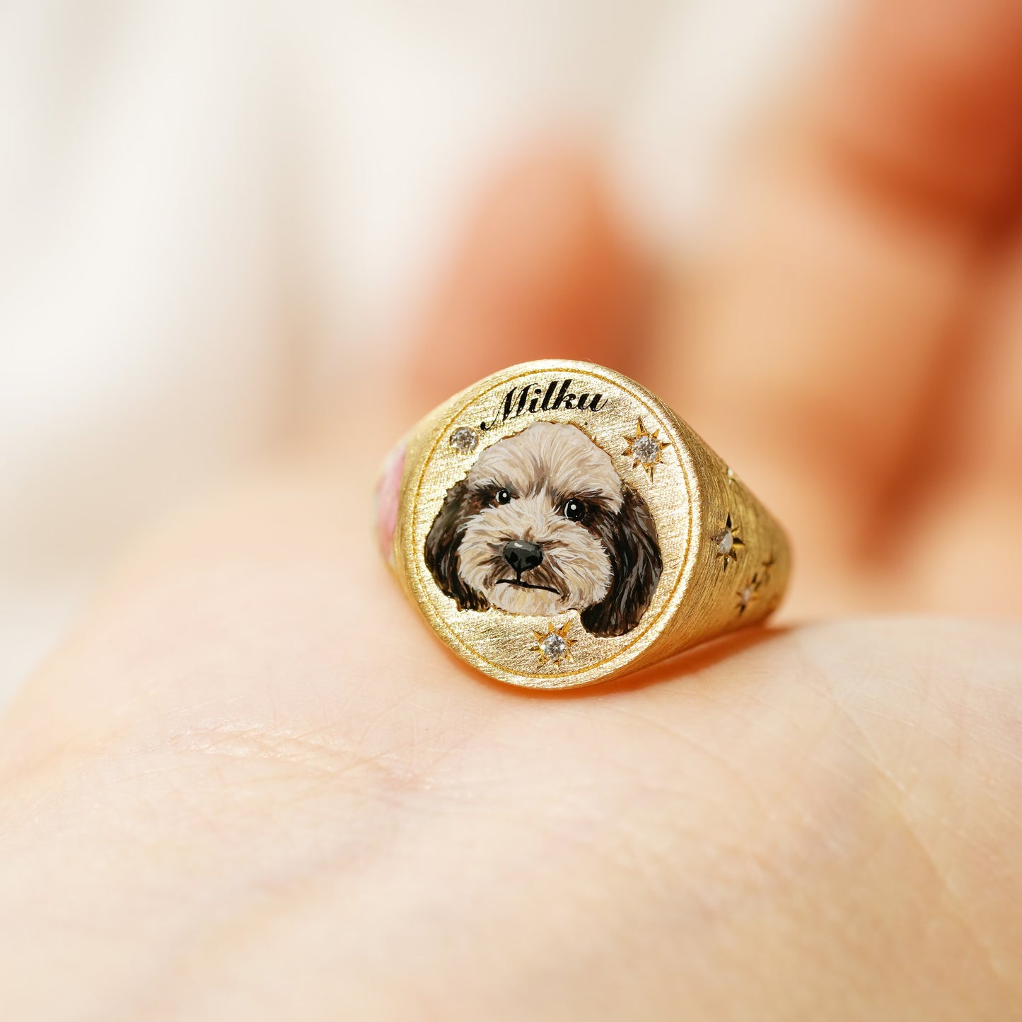 Custom Pet Signet Ring