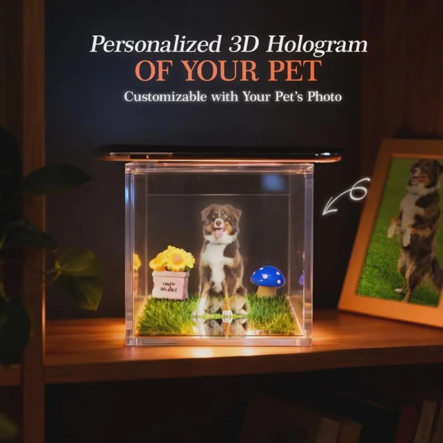 Custom Pet Memorial Hologram House