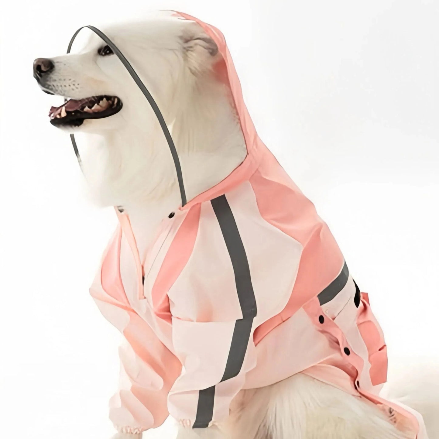 All-Weather Reflective Dog Raincoat – Waterproof Harness