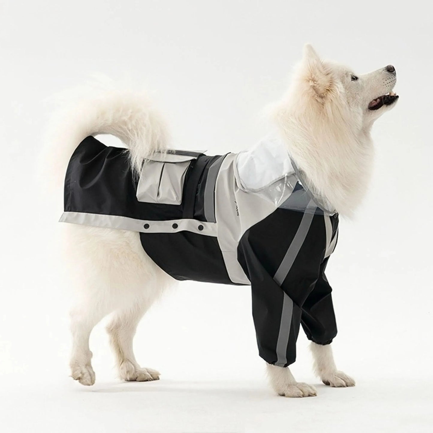 All-Weather Reflective Dog Raincoat – Waterproof Harness