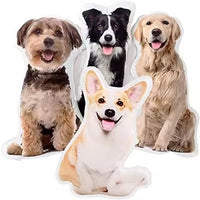 Personalized 3D Pet Pillow
