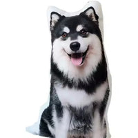 Personalized 3D Pet Pillow