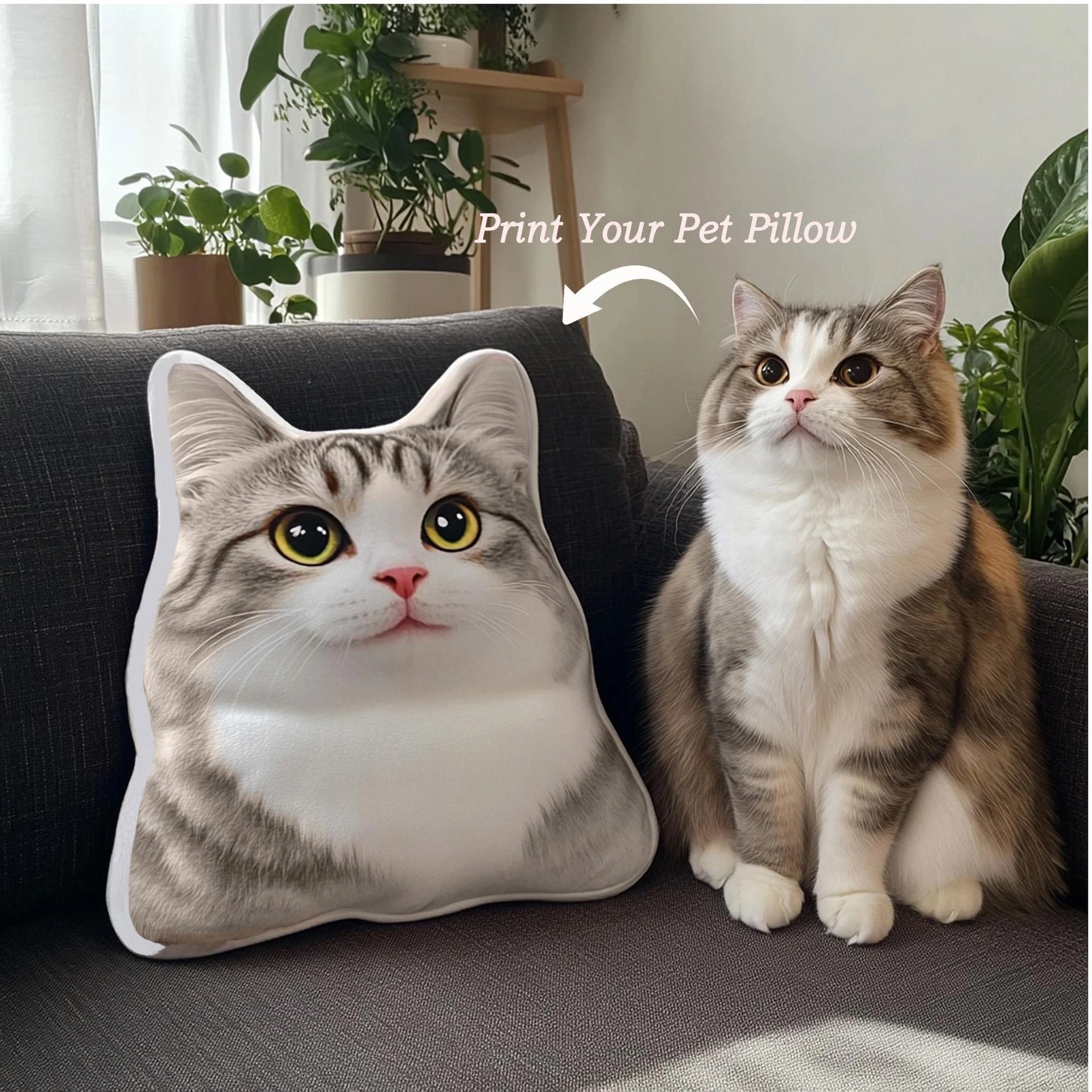 Shaped Pillow  Series