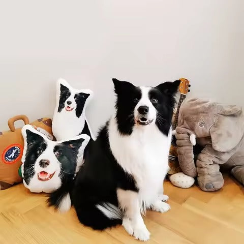 Personalized 3D Pet Pillow