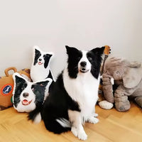 Personalized 3D Pet Pillow