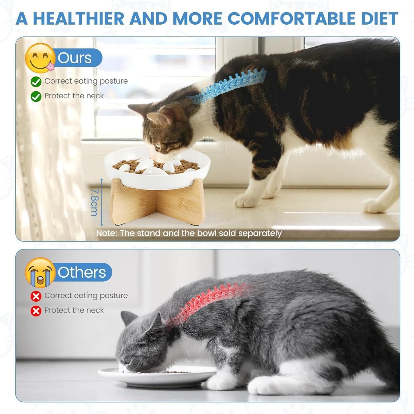 Ceramic Slow Food Plate