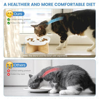 Ceramic Slow Food Plate