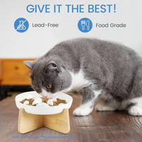 Ceramic Slow Food Plate