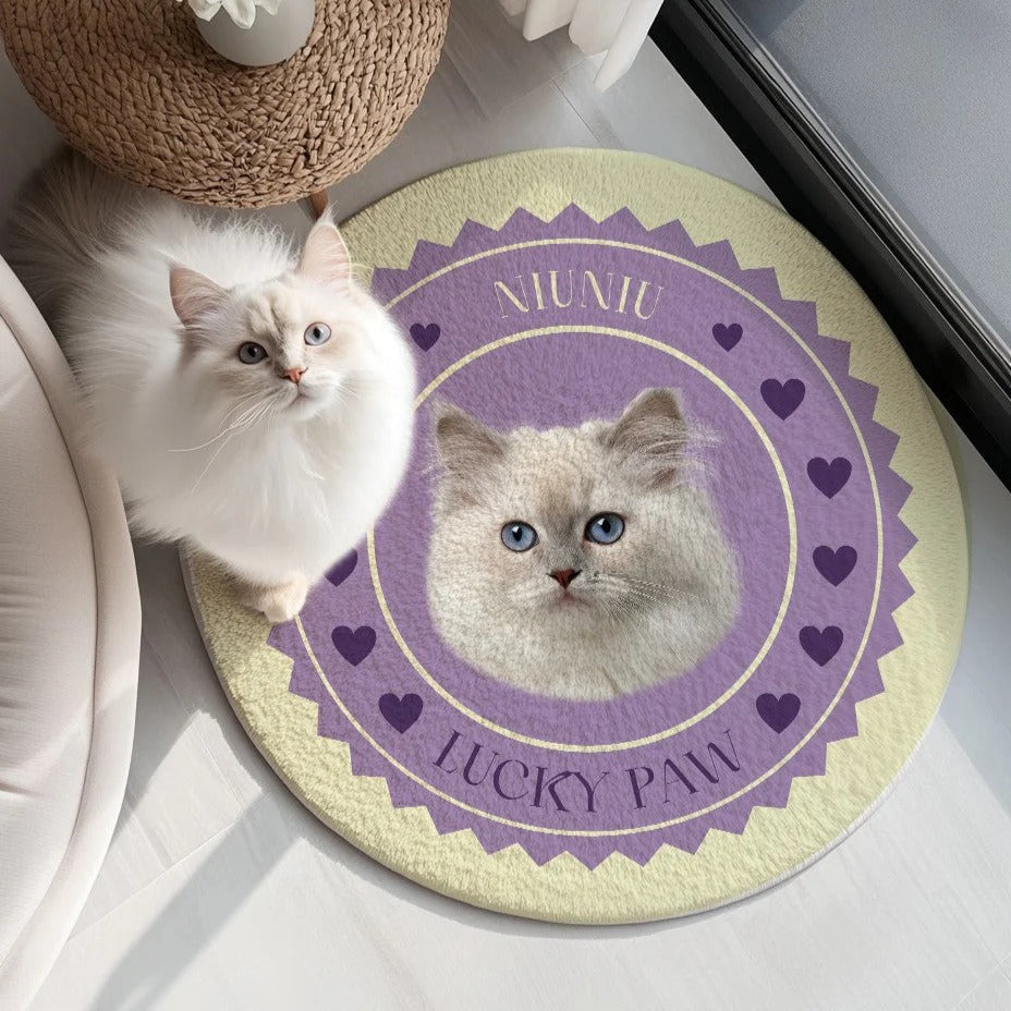 Custom Irregular Pet Rugs