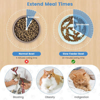 Ceramic Slow Food Plate