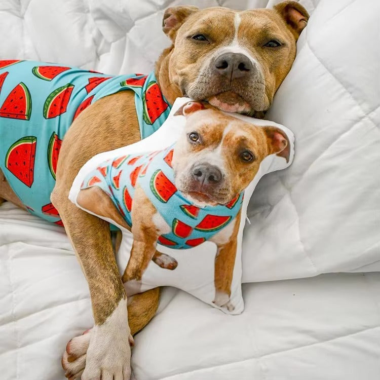 Personalized 3D Pet Pillow