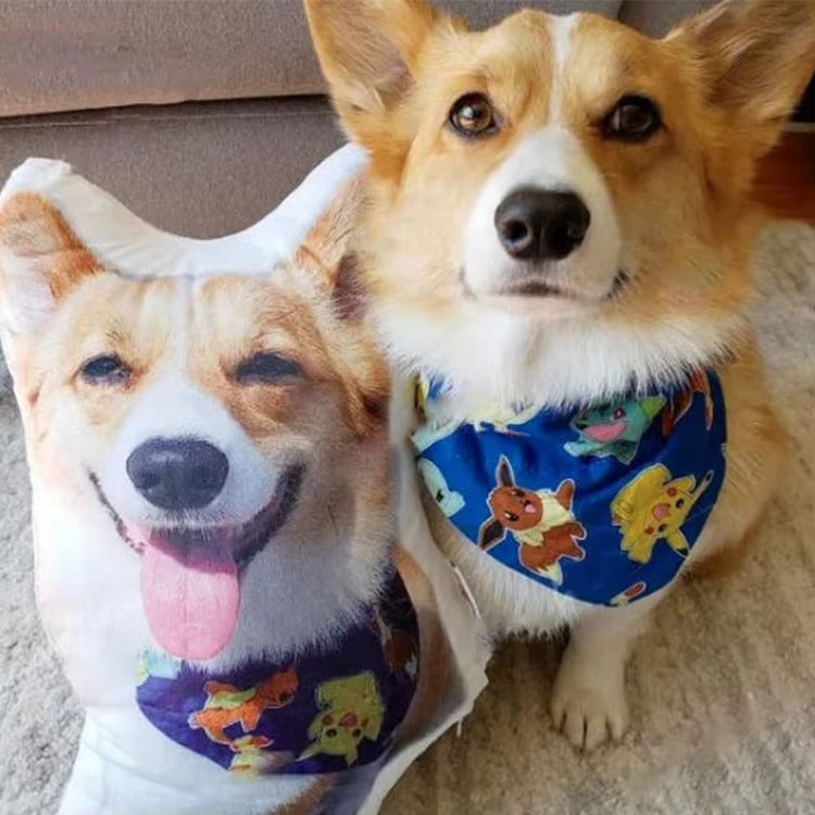 Personalized 3D Pet Pillow
