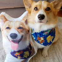 Personalized 3D Pet Pillow