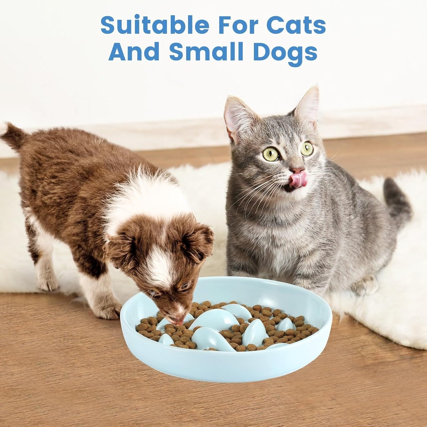 Ceramic Slow Food Plate