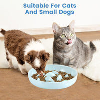 Ceramic Slow Food Plate