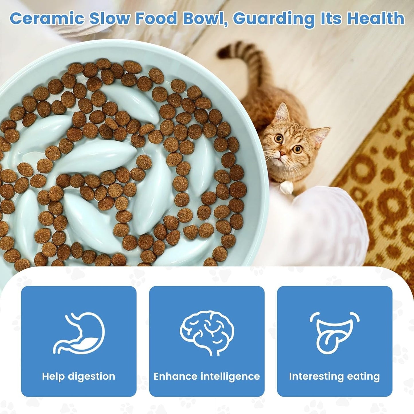 Ceramic Slow Food Plate