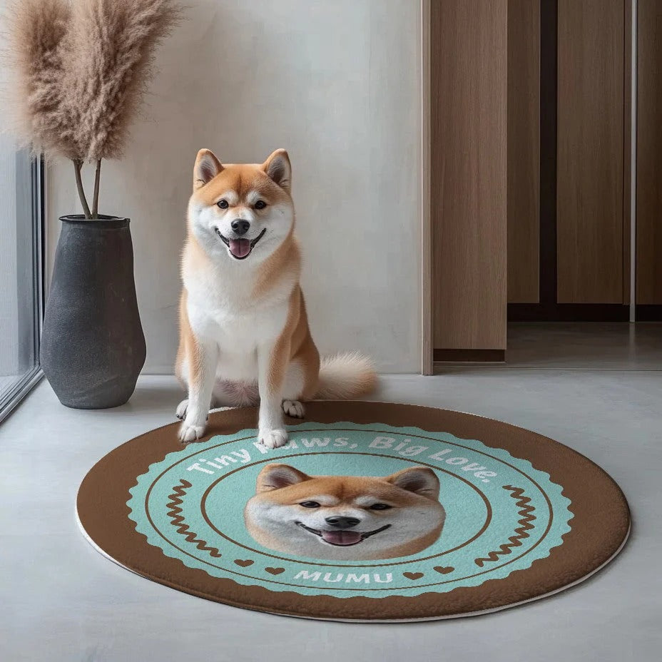Custom Irregular Pet Rugs