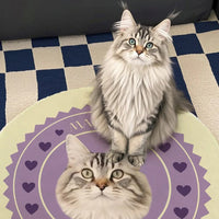 Custom Irregular Pet Rugs