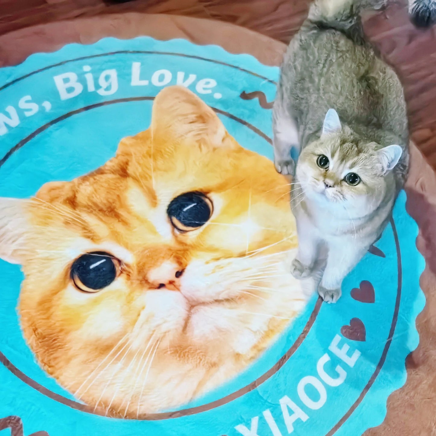 Custom Irregular Pet Rugs