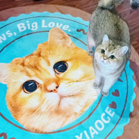 Custom Irregular Pet Rugs