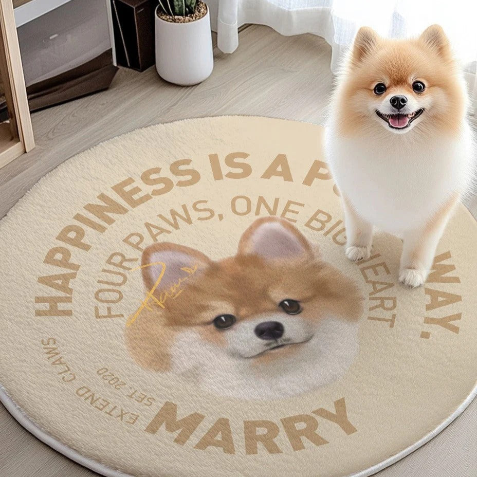 Custom Irregular Pet Rugs