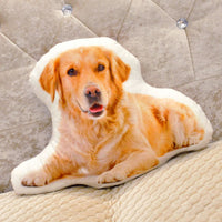 Personalized 3D Pet Pillow