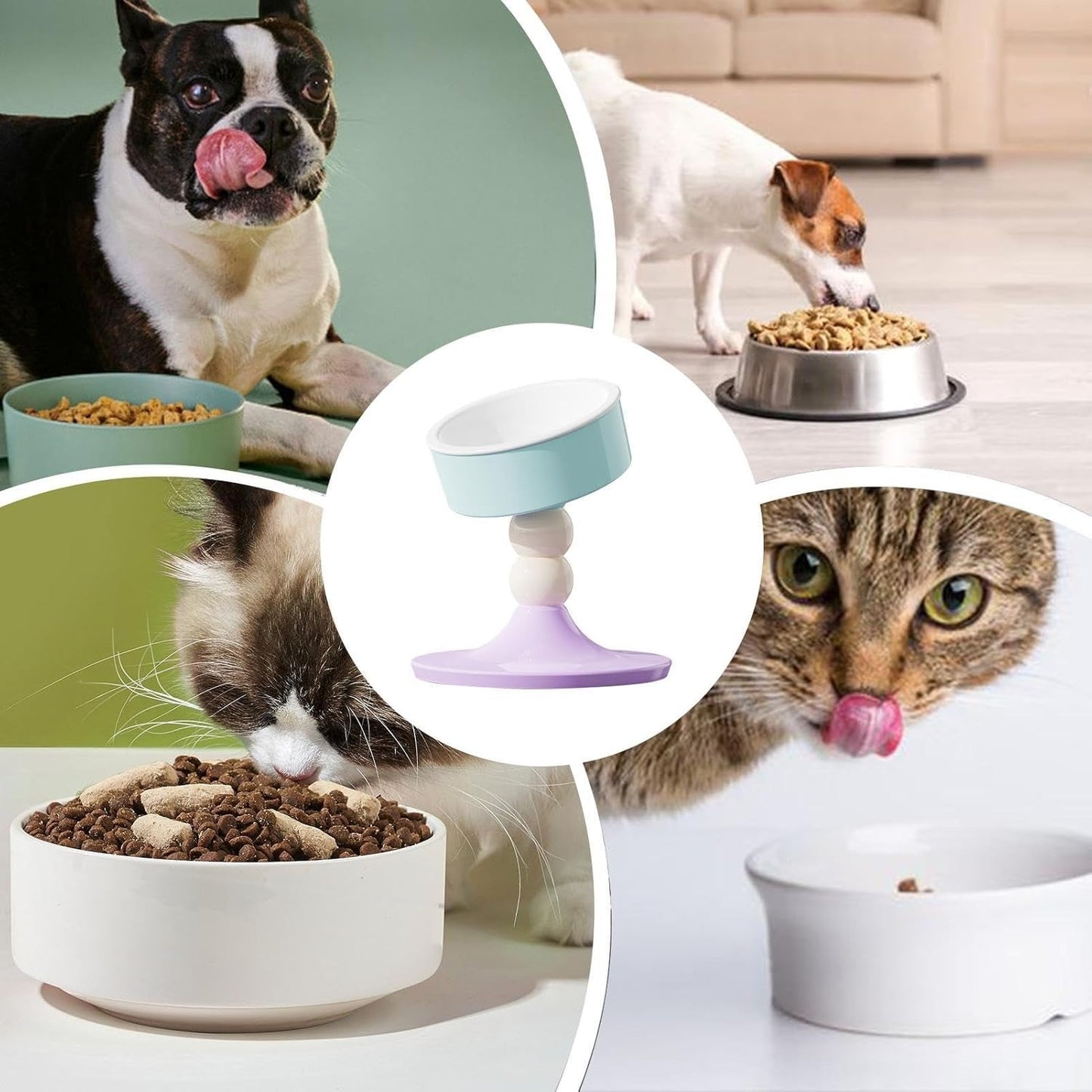 Adjustable Food Bowl