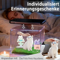 Custom Pet Memorial Hologram House