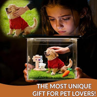 Custom Pet Memorial Hologram House